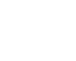 Homo Vollidiot